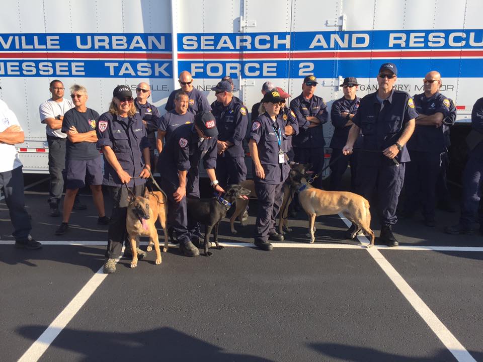 Hurricane Irma Deployment