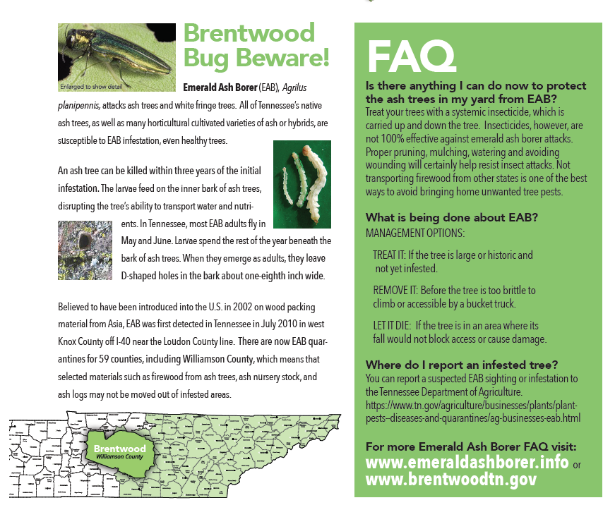 EAB pic 2