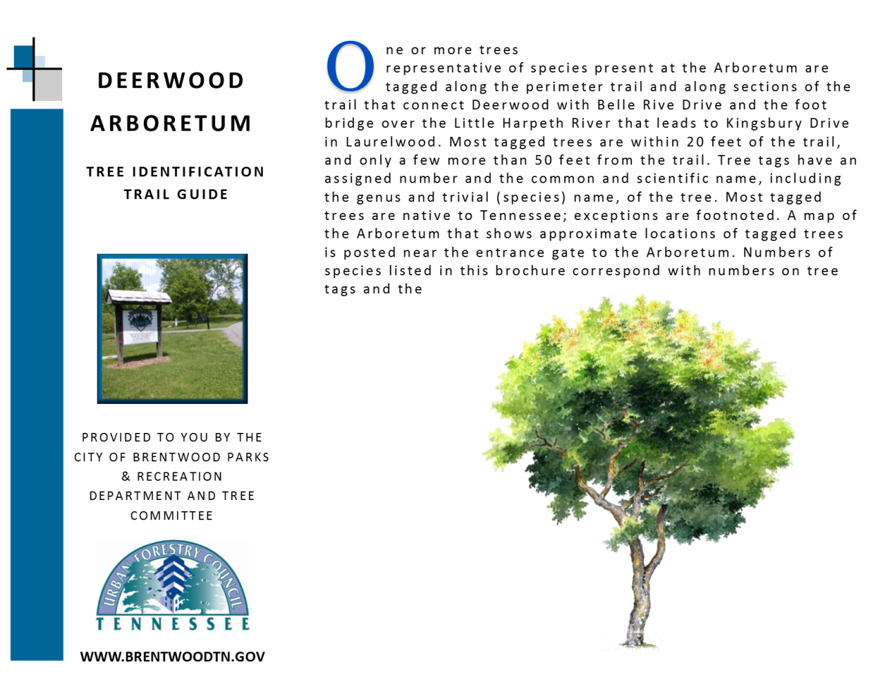 DEERWOOD ARBORETUM PAGE 1