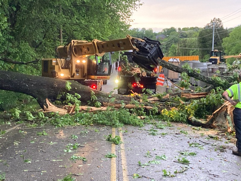 photo of downed tree and crews working on it