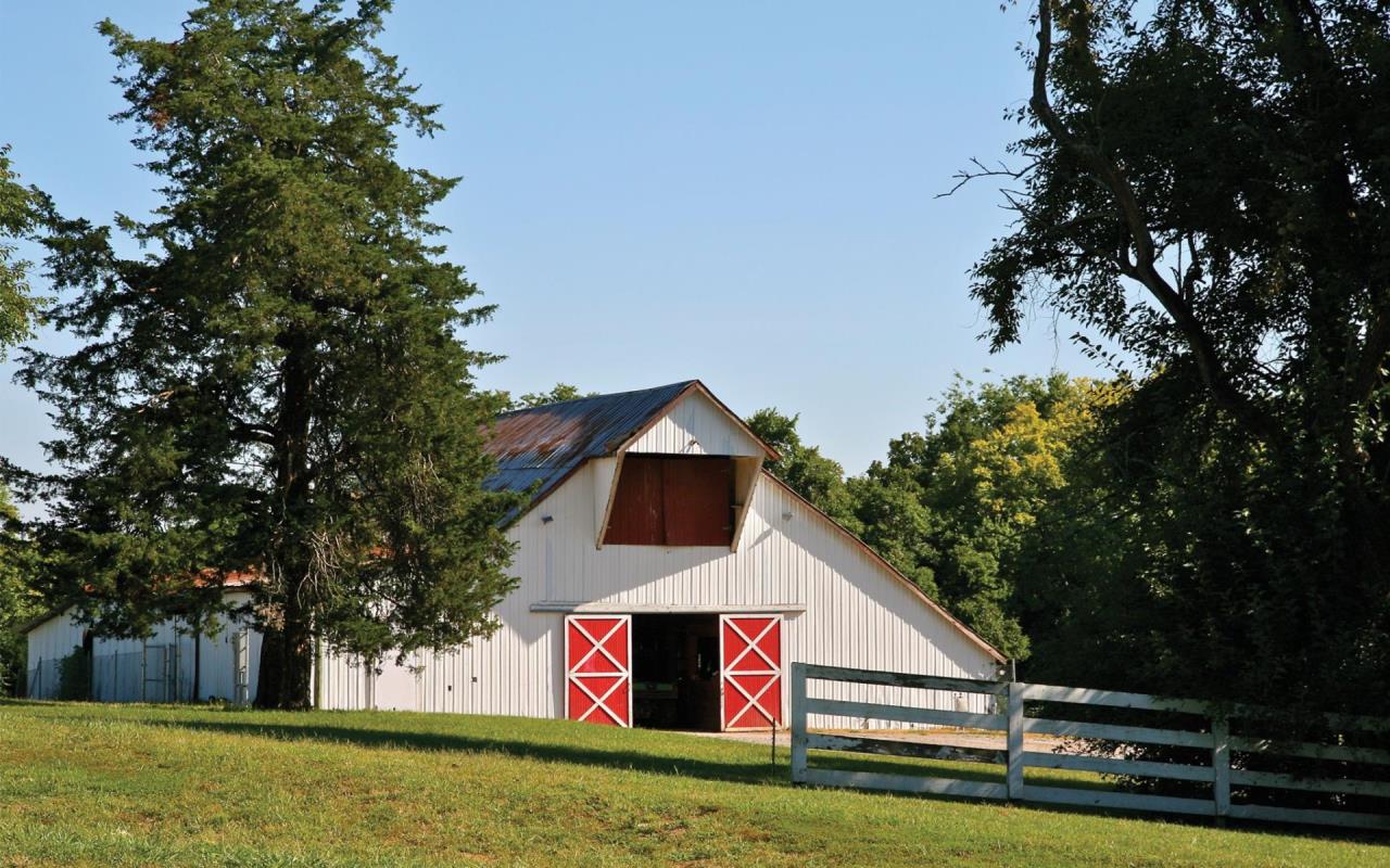 photo of white barn in woods