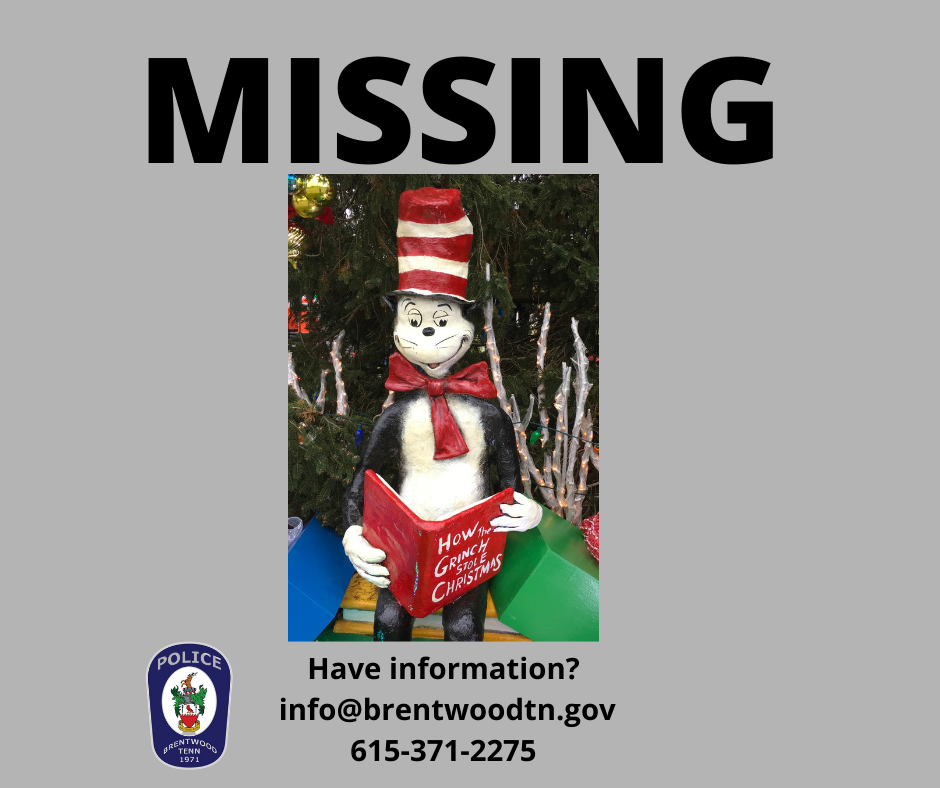 Missing poster showing cat in the hat