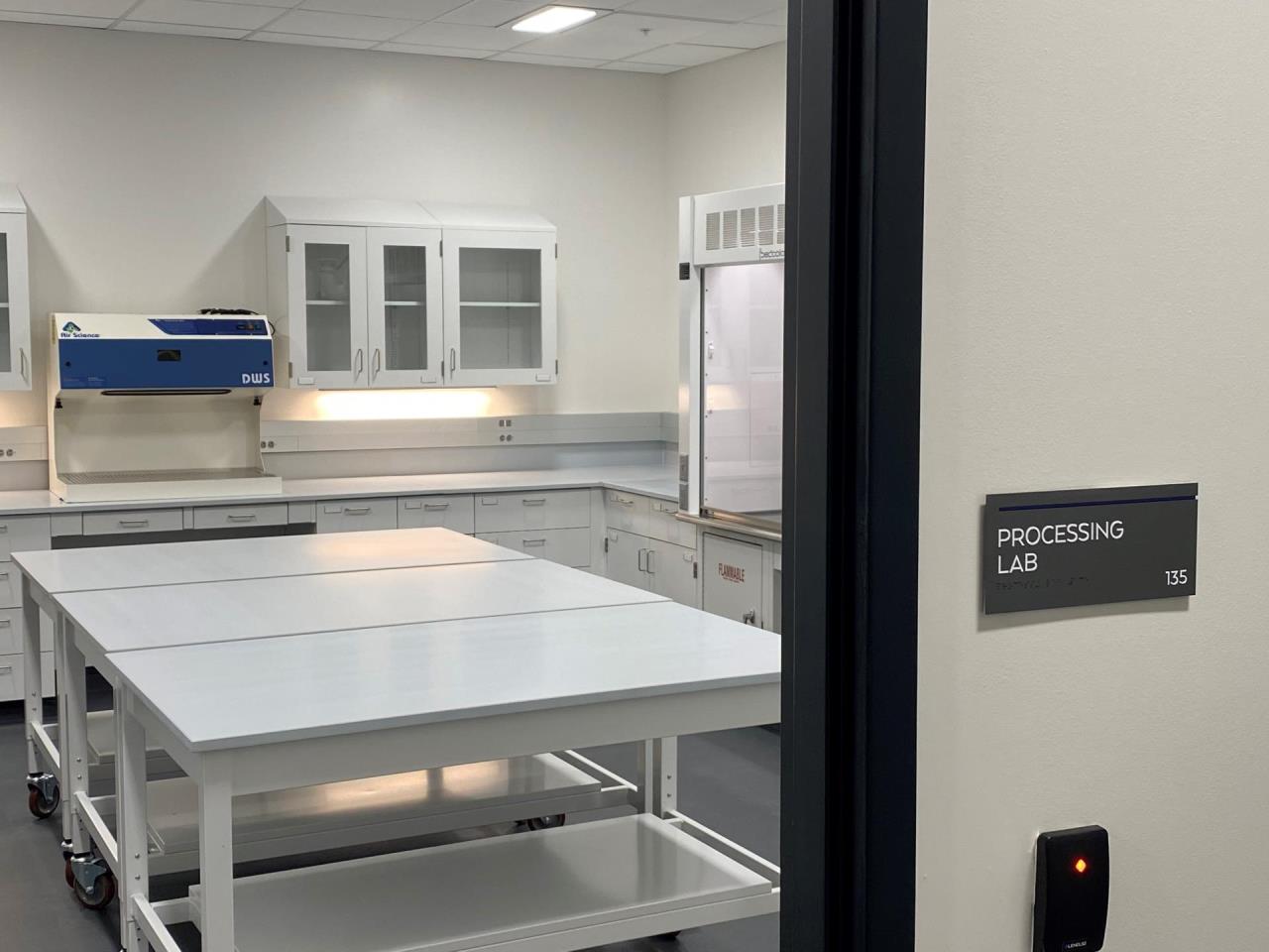 Processing Lab