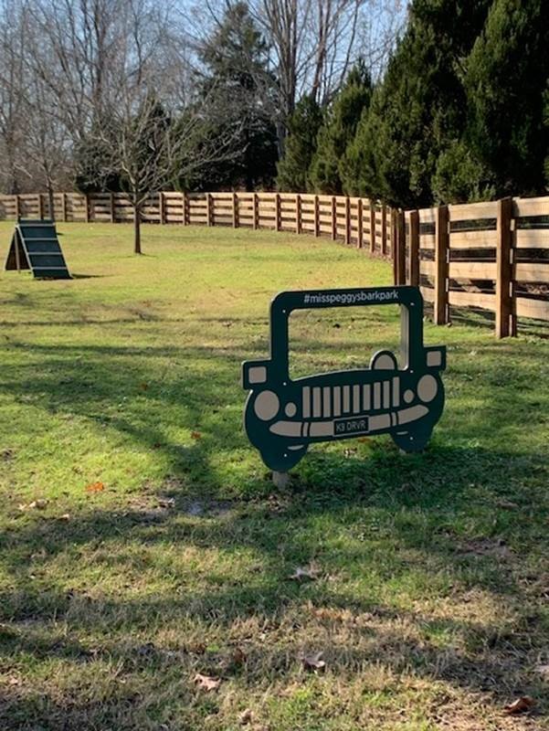 car for dogs photo spot