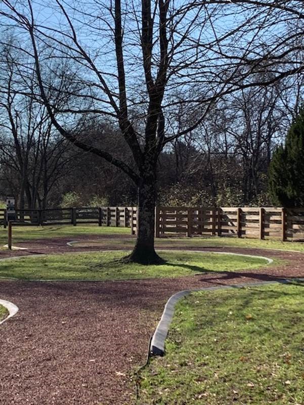 mulch and edging