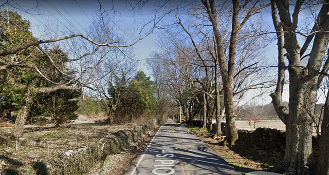 Street view of Old Smyrna Road.