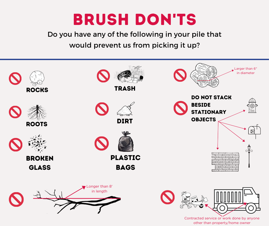 BRUSH DONTS