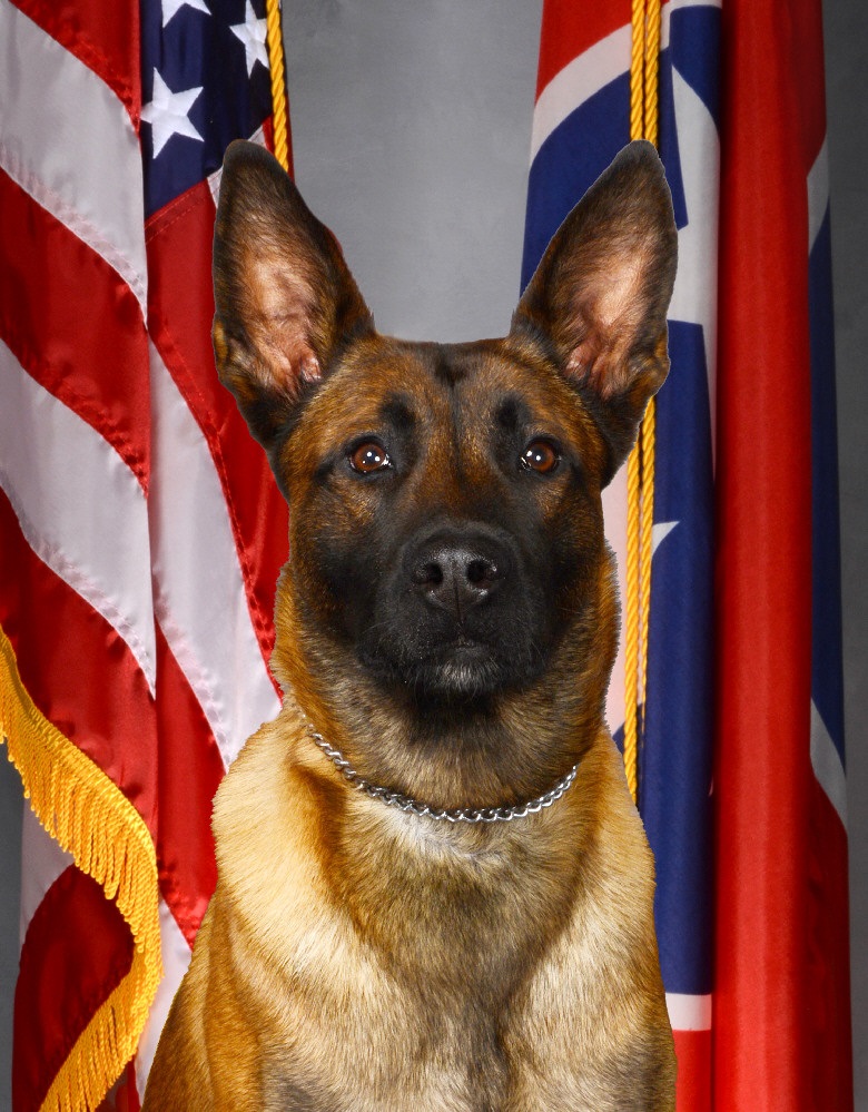 Photo of K9 Pax