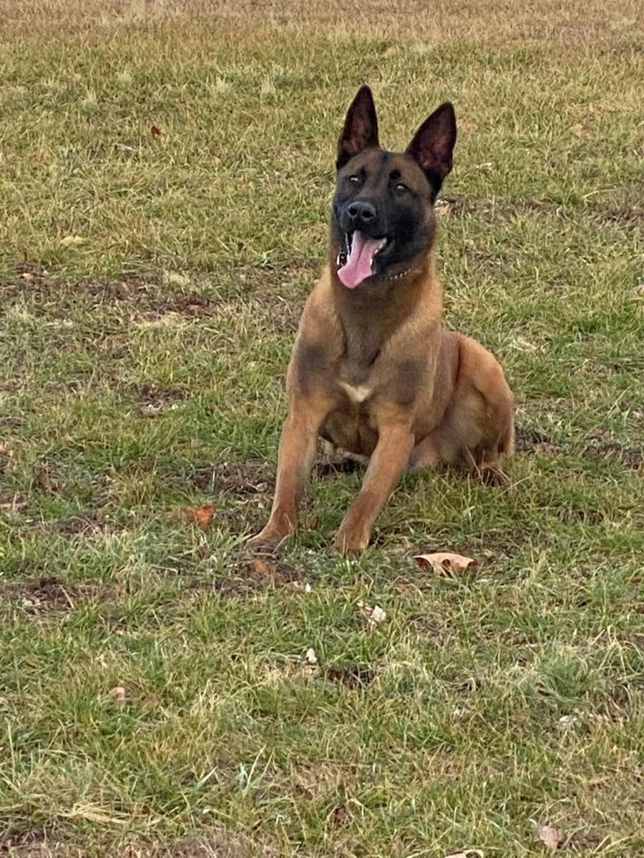 Photo of Pax training