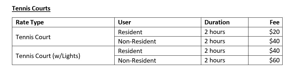 Court Fees