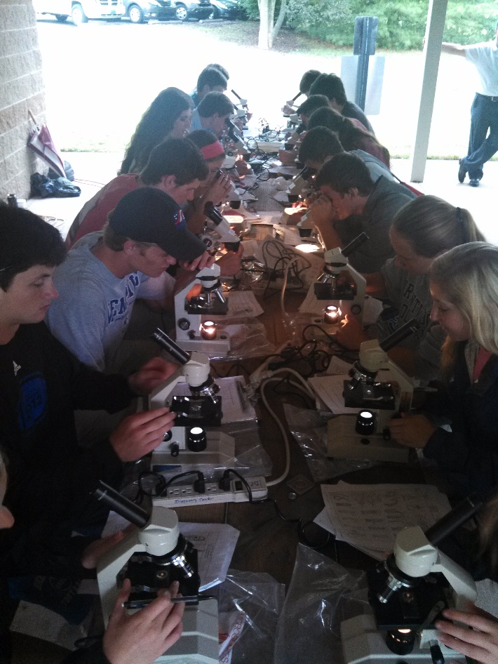 Microscopes