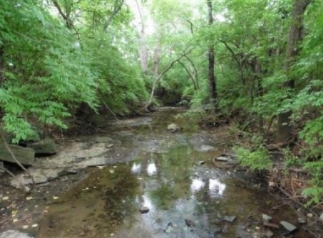 Stream