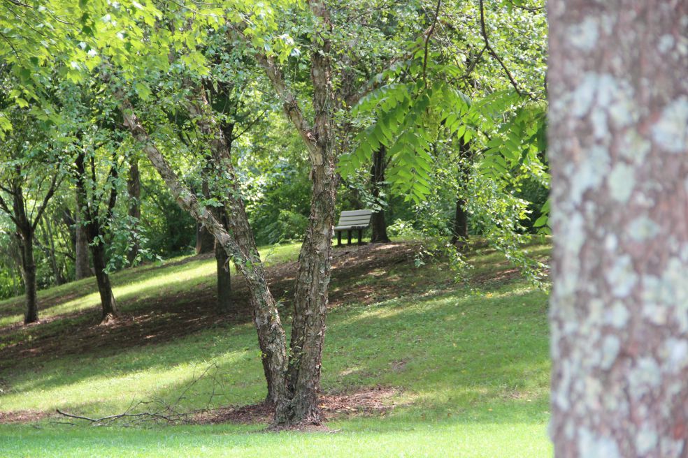 deerwood resize 3